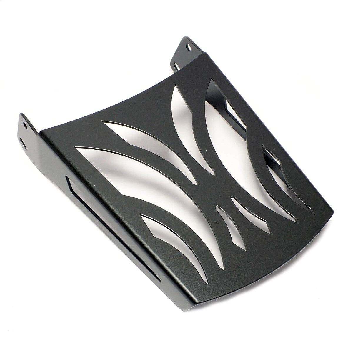 Triumph Thunderbird 1600 / 1700 Storm Black Sissy bar / Passneger backrest with rack
