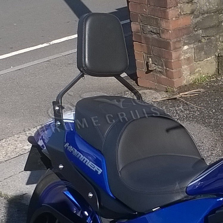 Victory Hammer / Sport (2005-2015) Black Passenger Backrest