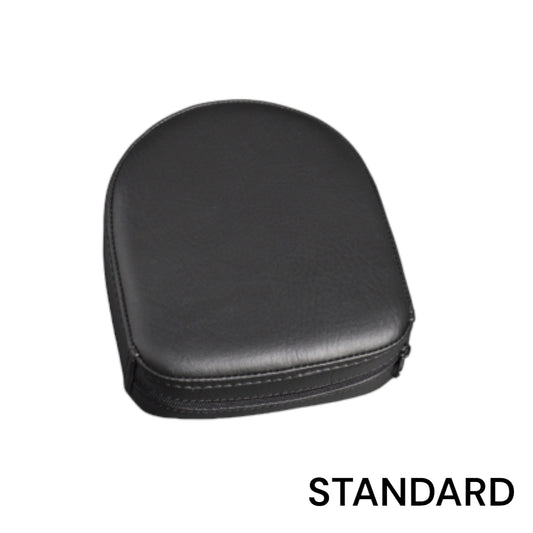 Passenger Backrest & Luggage Rack, Sissy Bar -  BMW R18 Roctane